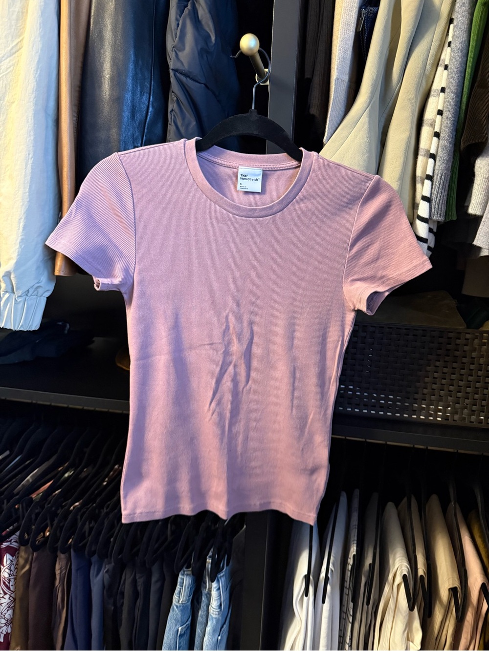 Aritzia TNA HomeStretch Crewneck Tee in Dusty Lavender
